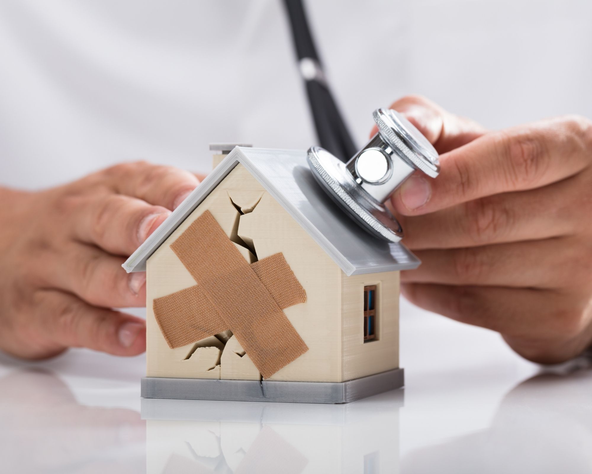 Expertise vices cachés immobilier Expert bâtiment Seine-et-Marne 77