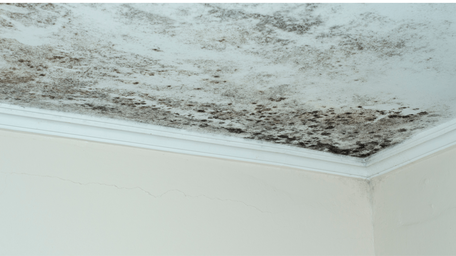 Expertise humidité Seine-et-Marne 77 Expertise humidité Seine-et-Marne 77